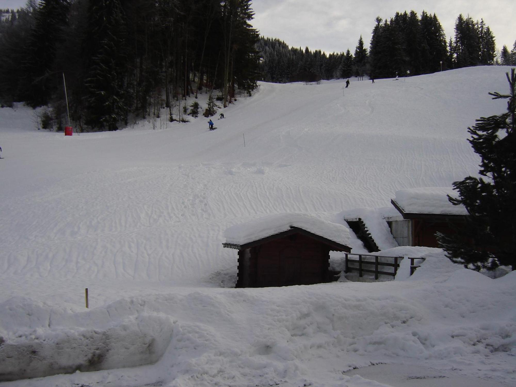 Hotel Les Bernards Praz-sur-Arly Ngoại thất bức ảnh