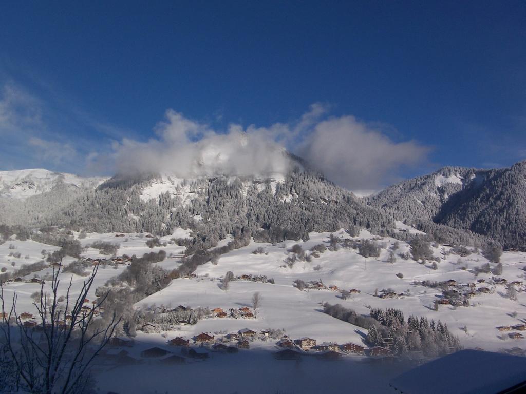 Hotel Les Bernards Praz-sur-Arly Ngoại thất bức ảnh